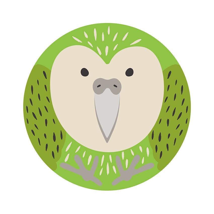 NZ Cuties Kakapo Ceramic Coaster (4 Pack) by 100% NZ