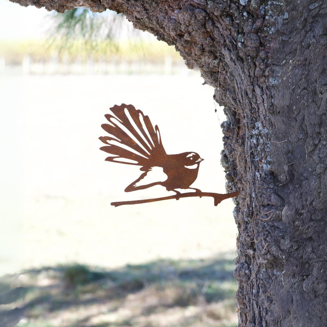 Fantail