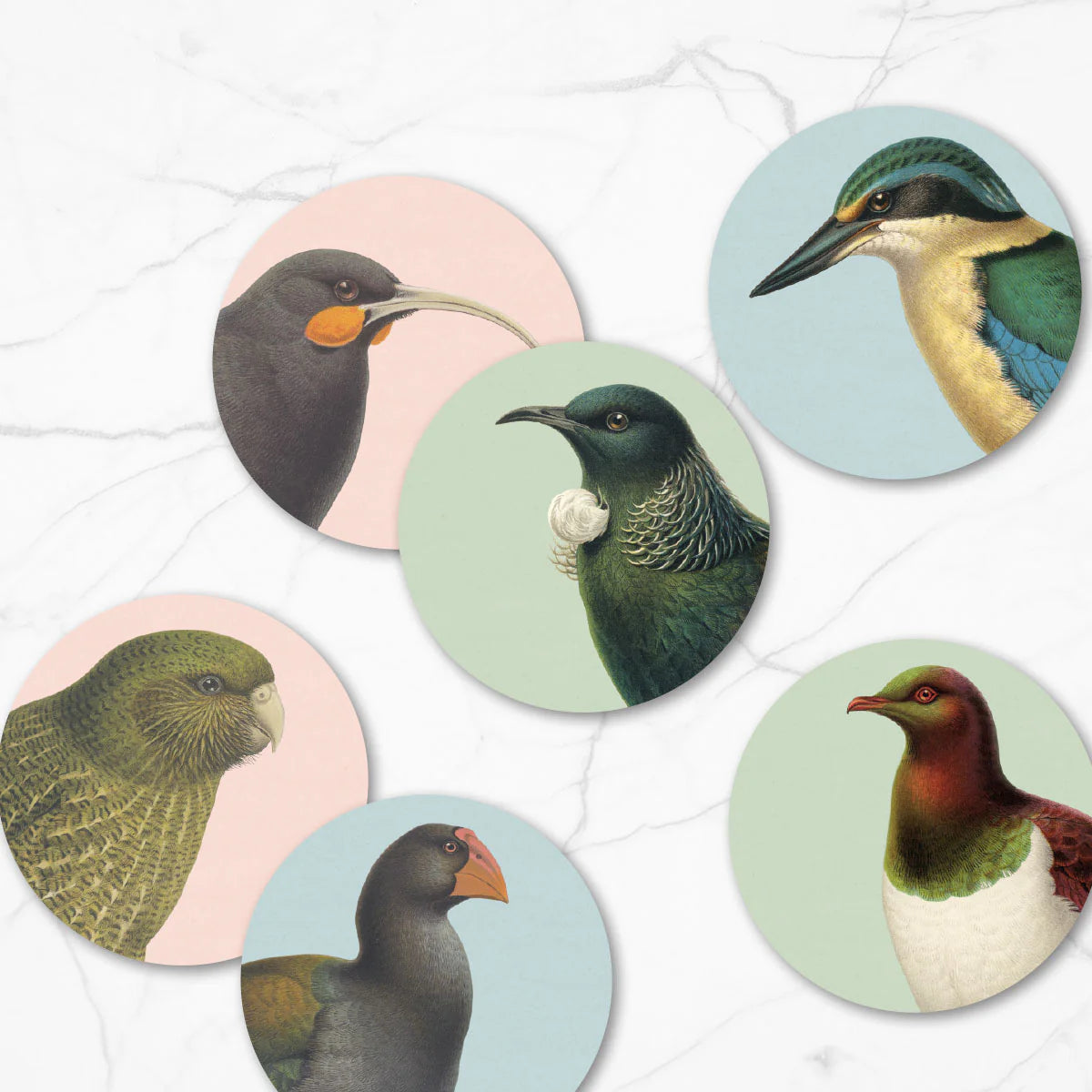 Hushed Birds Set of 6 Coasters by 100% NZ