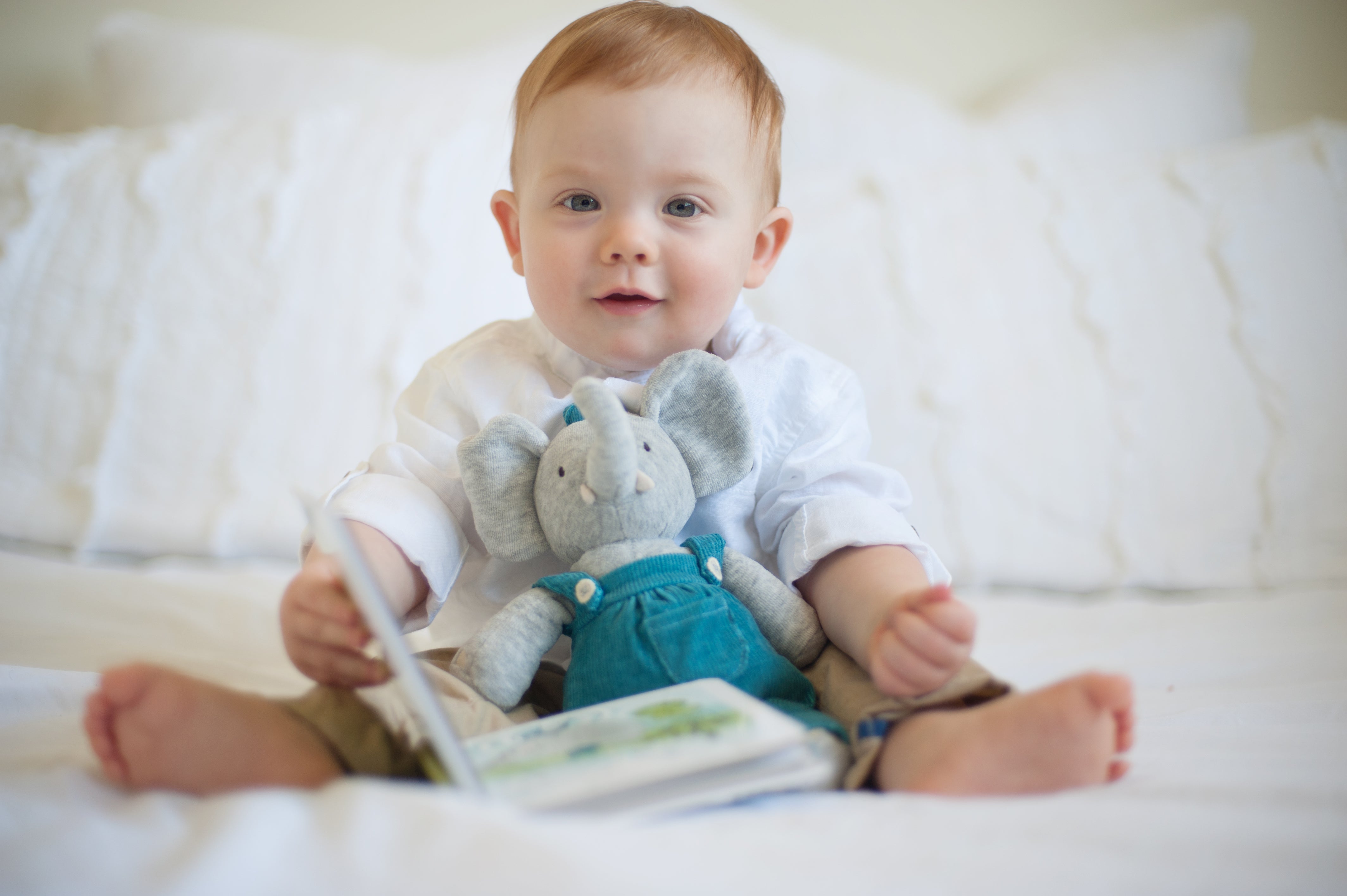 Deluxe Toy PLUSH in Ribbon gift box with Book from the Alvin Collection: Ages 0+