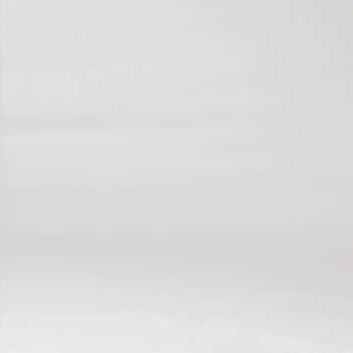 Wooden Polar Animals Display Shelf Set - Tender Leaf Toys | Wooden Toy NZ