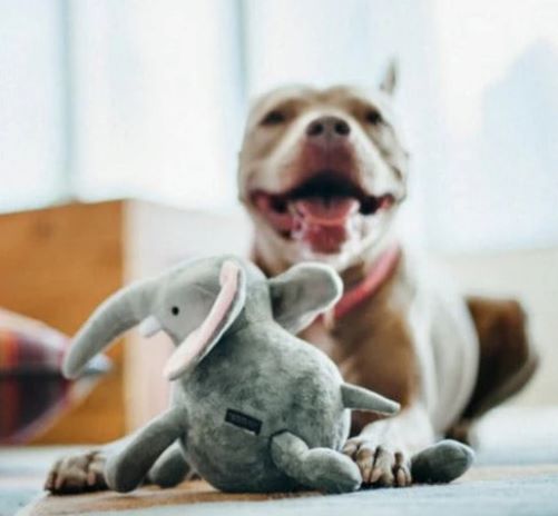 P.L.A.Y. SAFARI - Elephant