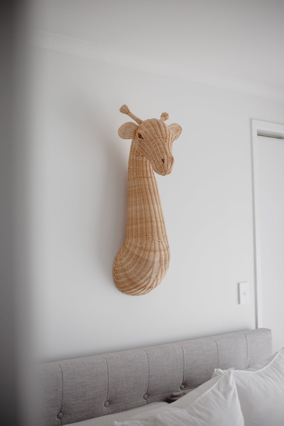 Gus the Giraffe