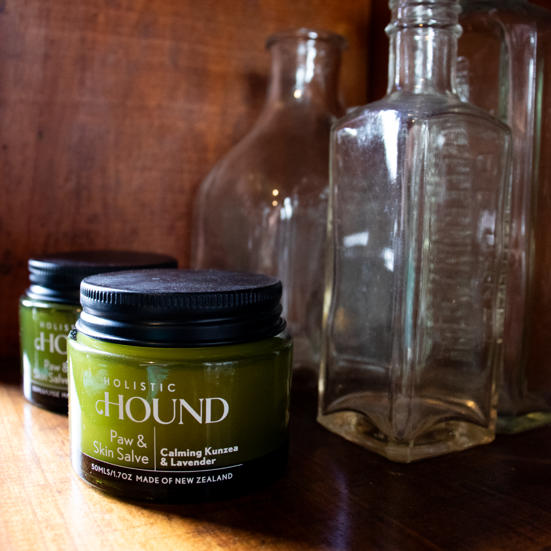 Holistic Hound - Paw & Skin Salve 50g