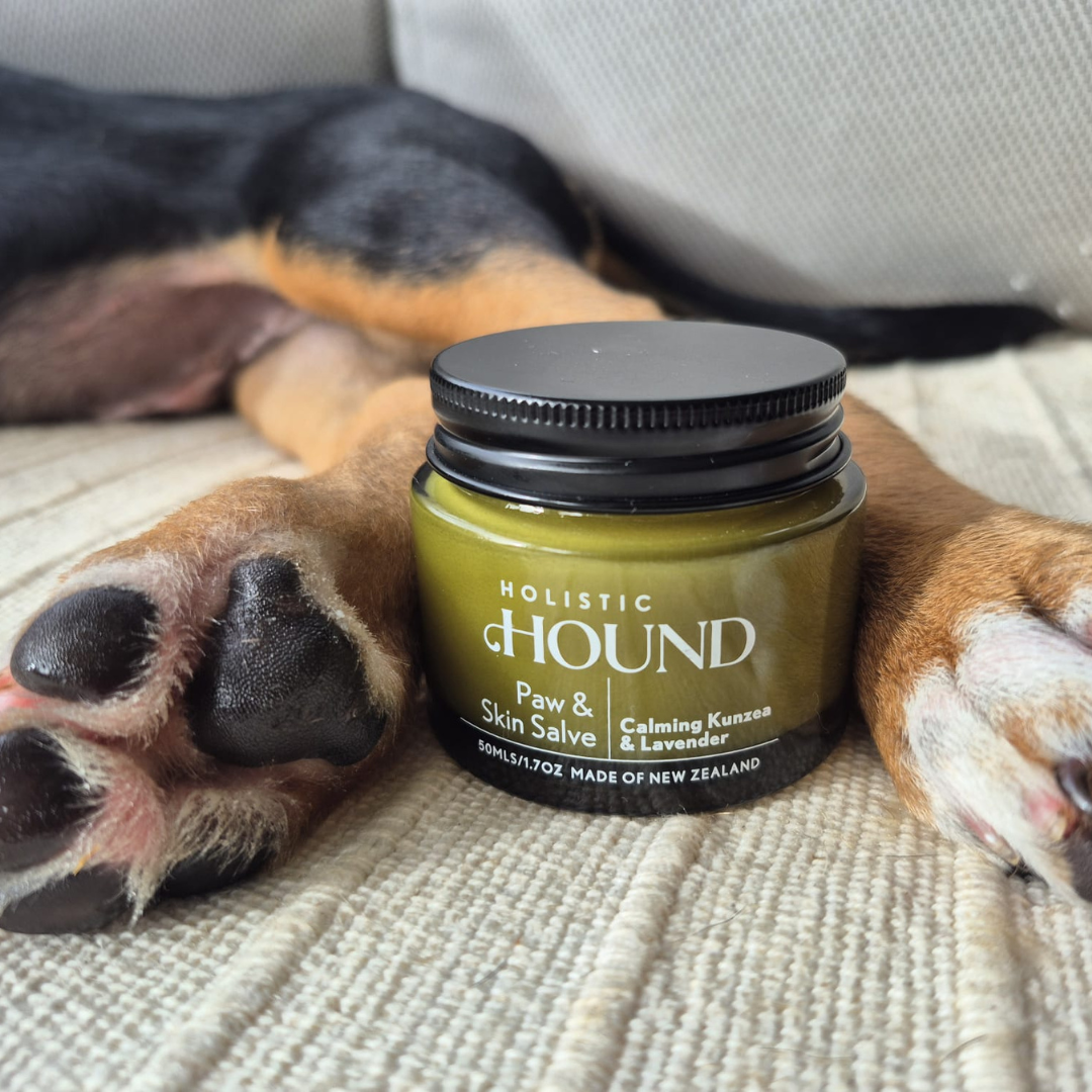Holistic Hound - Paw & Skin Salve 50g