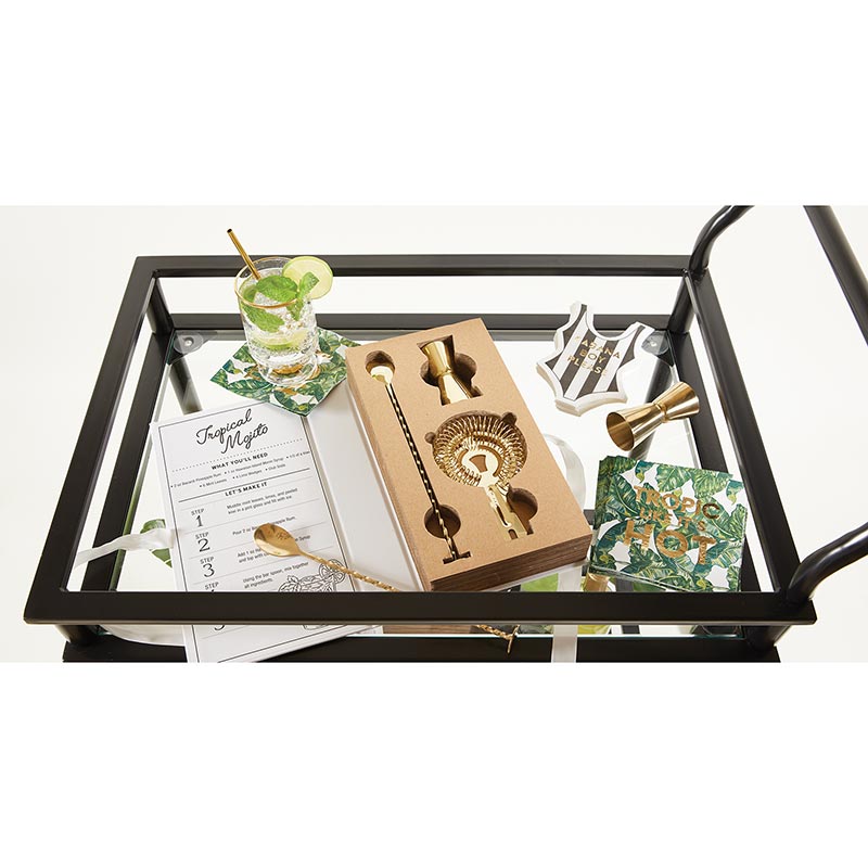 Havana Good Time Gold Barware Set by Santa Barbara Design Studio