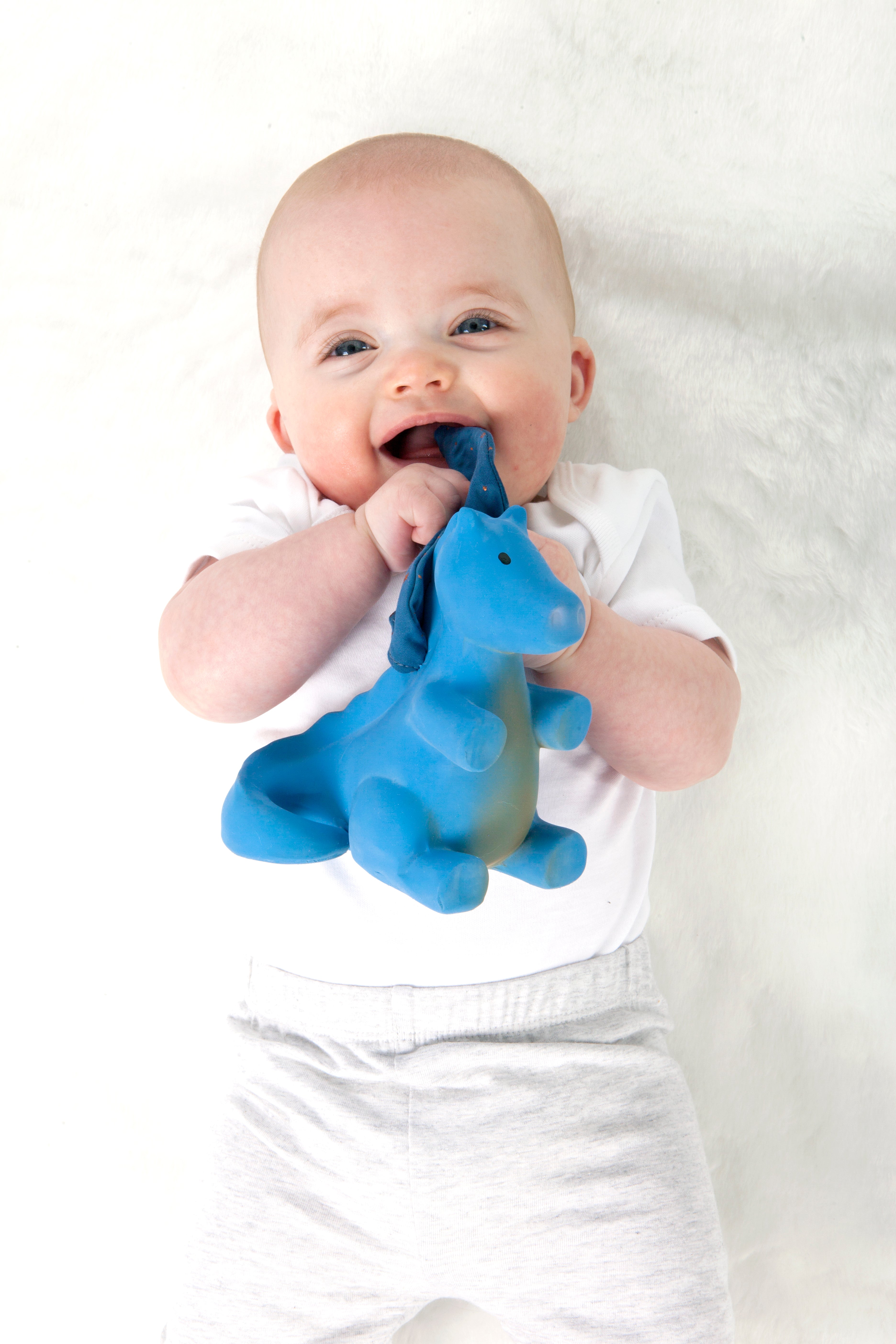 Boxed Mid Night Dragon Teether by Tikiri: Ages 0+