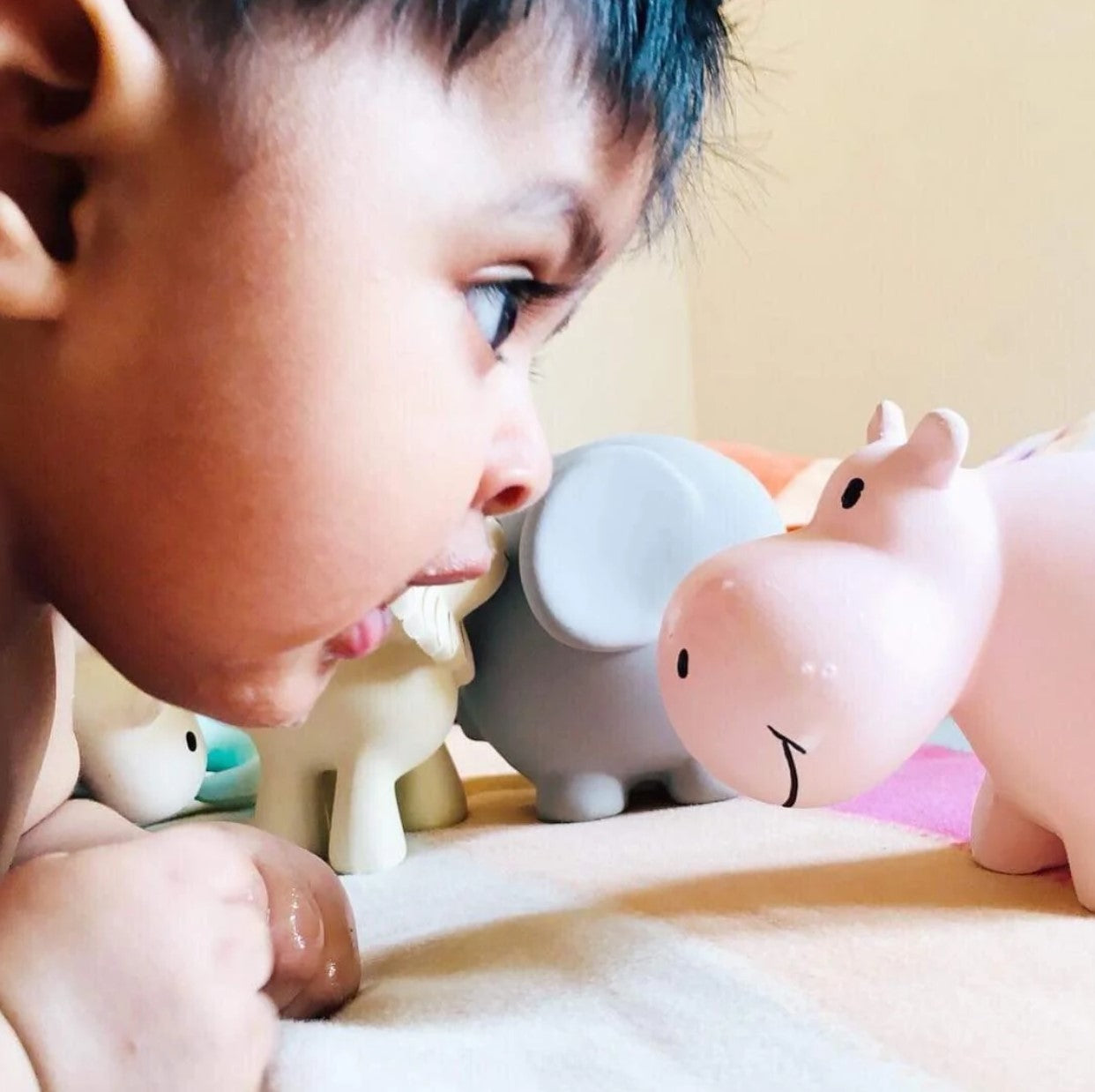 Hippo - Natural Rubber Baby Rattle and Bath Toy by Tikiri: Boxed: Ages 0+