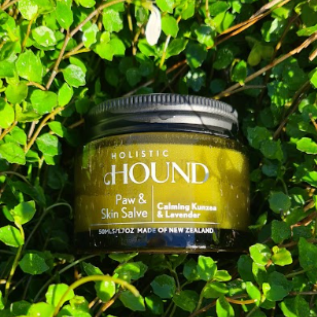 Holistic Hound - Paw & Skin Salve 50g