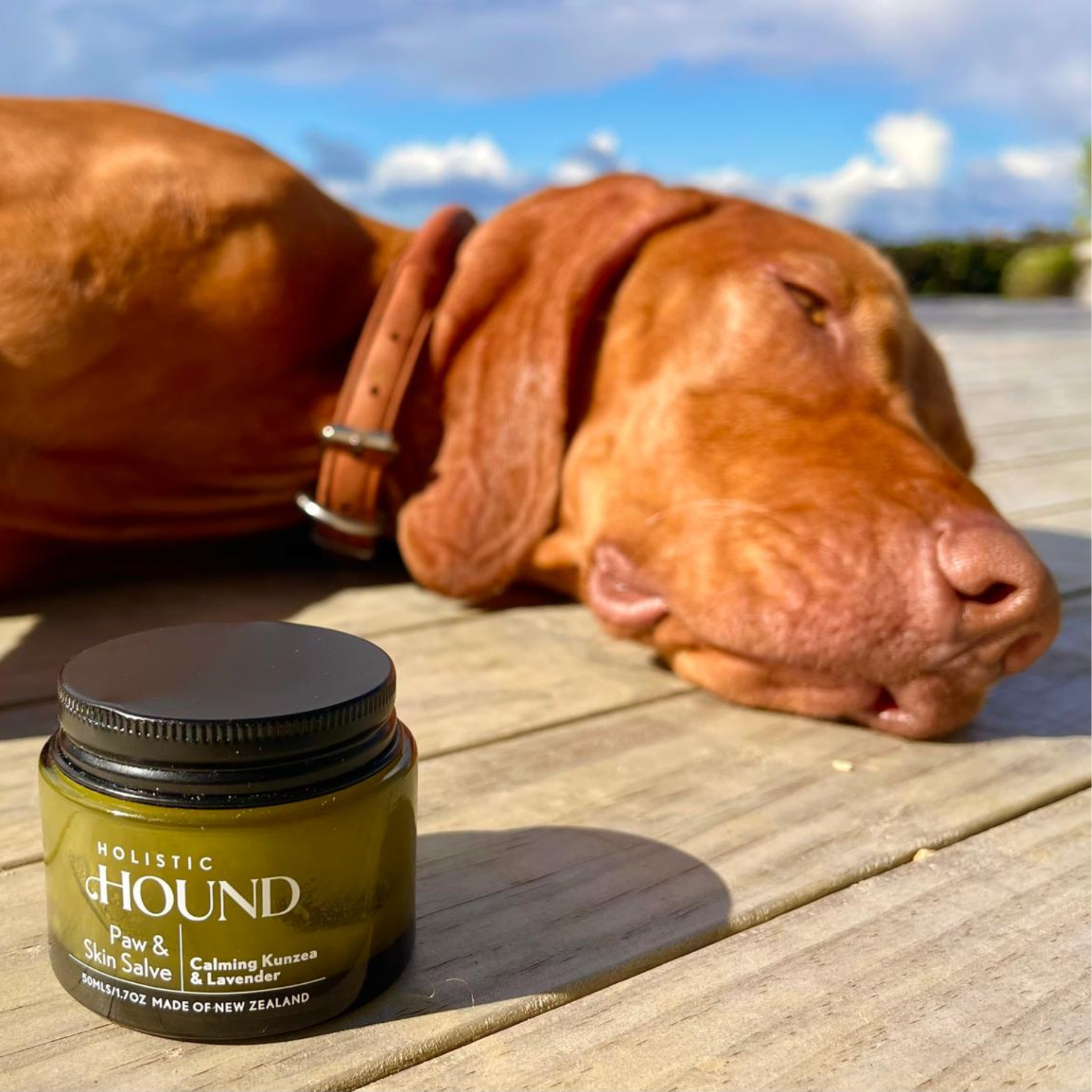 Holistic Hound - Paw & Skin Salve 50g