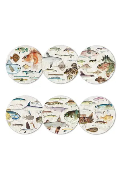 Fishes of NZ Box of 6 Placemats by 100% NZ